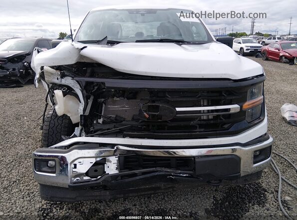 1FTFW3L84RKF66952 2024 FORD F150 Белый Вид спереди