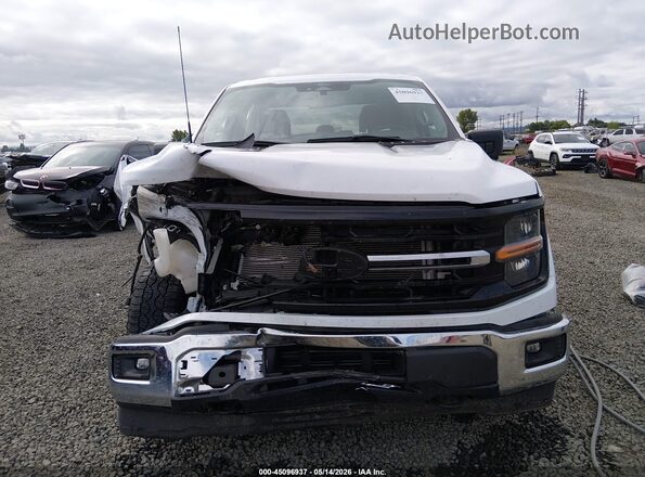 1FTFW3L84RKF66952 2024 FORD F150 Белый Вид щитка приборов