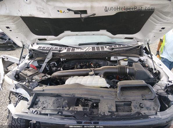 1FTFW3L84RKF66952 2024 FORD F150 Белый Вид сзади