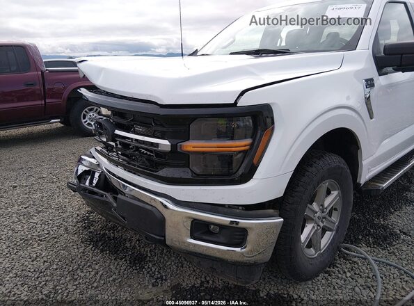 1FTFW3L84RKF66952 2024 FORD F150 Белый 