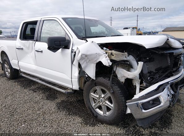 1FTFW3L84RKF66952 2024 FORD F150 Белый 