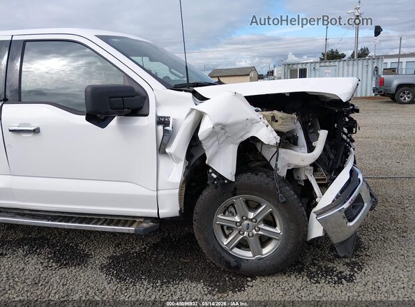 1FTFW3L84RKF66952 2024 FORD F150 Белый 