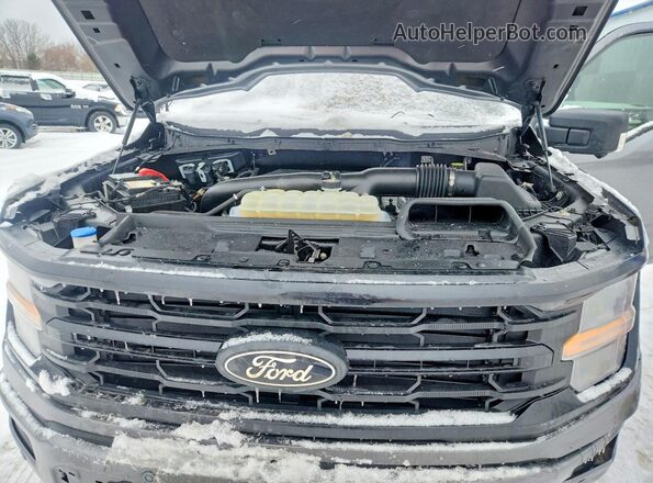 1FTFW3L87RFA12894 2024 FORD F150 Серый Вид задней части салона