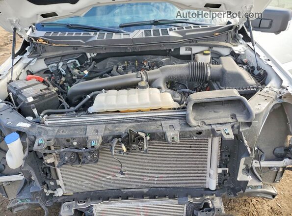 1FTFW3L89RKF80605 2024 FORD F150 White Widok wnętrza z tyłu