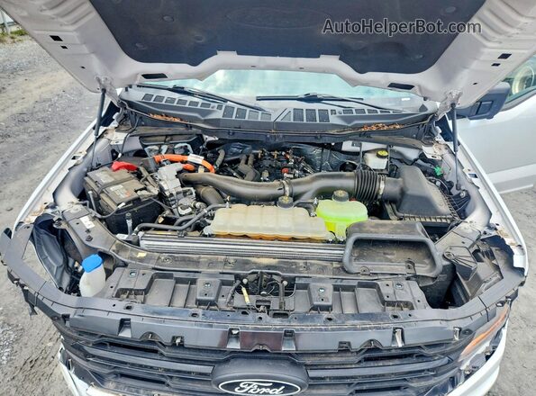 1FTFW3LD1RFA49436 2024 FORD F150 White Vista interior trasera