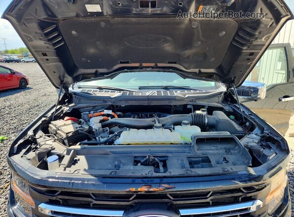 1FTFW3LD3RFB17588 2024 FORD F150 Black 