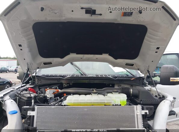 1FTFW3LD7SFB14392 2025 FORD F150 White 