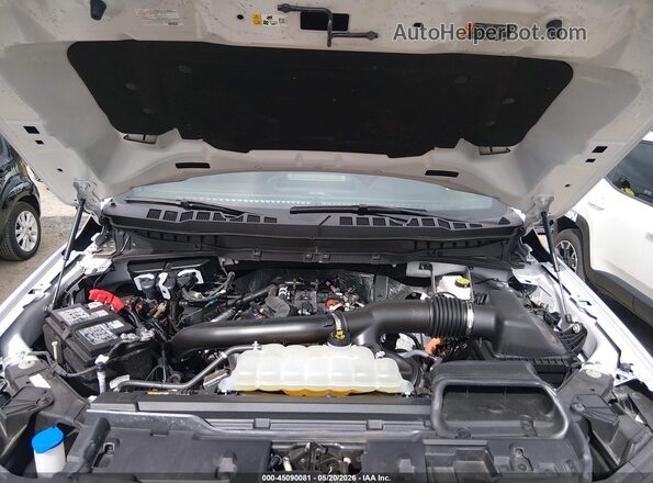 1FTFW4L84SFA59358 2025 FORD F150 Gray Widok z tyłu