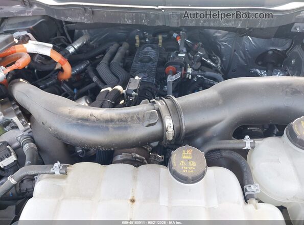 1FTFW5LD0RFB48244 2024 FORD F150 Серый Вид сзади