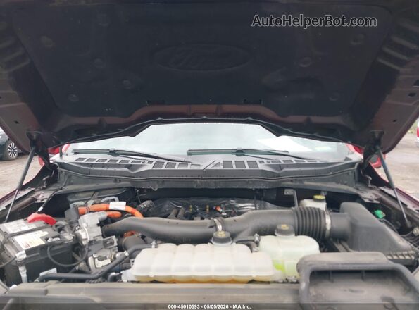 1FTFW5LD4RFB84969 2024 FORD F150 Red Widok z tyłu