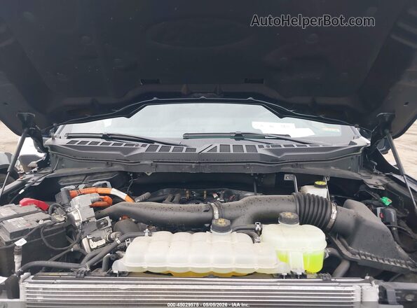 1FTFW5LD7RFB75912 2024 FORD F150 Blue უკანა ხედი