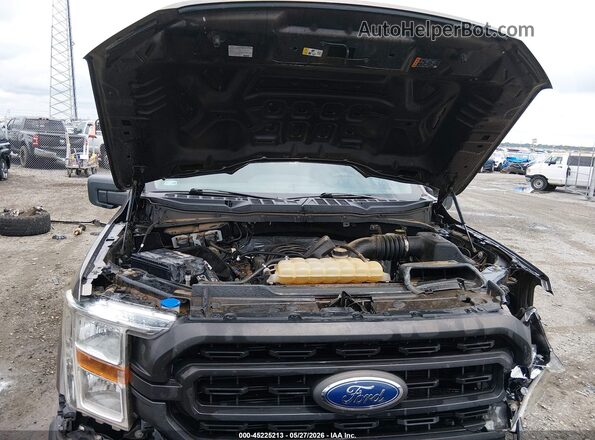 1FTFX1E53MKE47447 2021 FORD F150 Gold უკანა ხედი