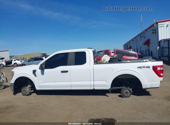 1FTFX1E82MFA28489 2021 FORD F150 Белый Вид задней части салона