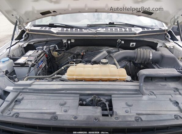 1FTMF1C53KKC90299 2019 FORD F150 White Vista trasera