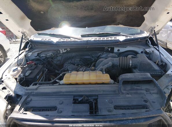 1FTMF1C83HFA43120 2017 FORD F150 White Вид ззаду