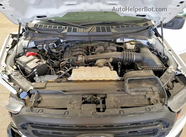 1FTMF1CB1PKE69390 2023 FORD F150 White Вид задньої частини салону