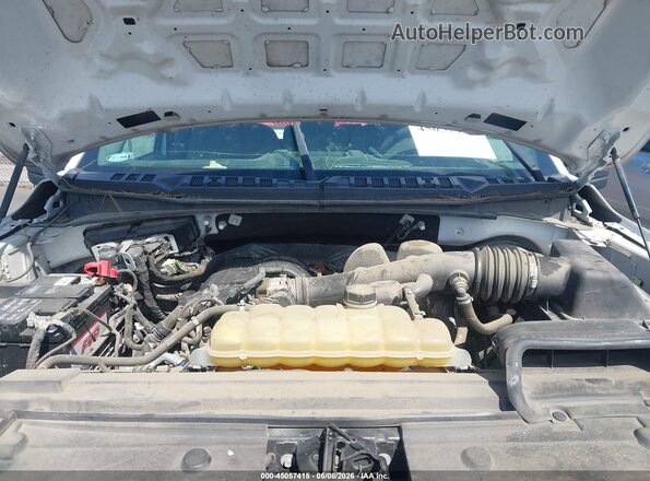 1FTMF1CB7KKD11208 2019 FORD F150 White Հետևի տեսք