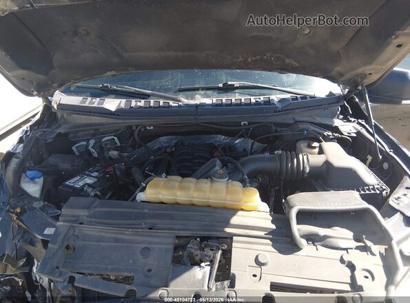 1FTMF1E59KKC98095 2019 FORD F150 Black Вид ззаду