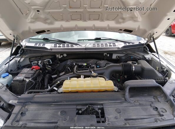 1FTMF1EP8LKF26557 2020 FORD F150 Silver Հետևի տեսք