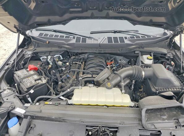1FTMF1K51SKD64529 2025 FORD F150 Gray Սալոնի հետևի տեսք