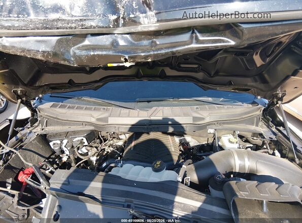 1FTMF1K52TKD05250 2026 FORD F150 Black Widok z tyłu