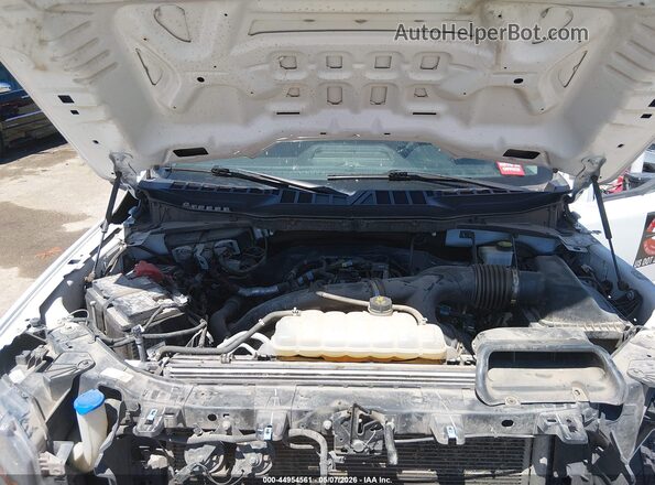 1FTMF1KP1RKD64333 2024 FORD F150 White Widok z tyłu