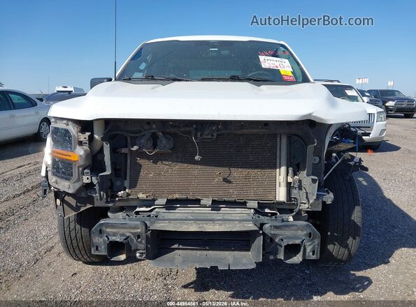 1FTMF1KP1RKD64333 2024 FORD F150 White Widok z przodu