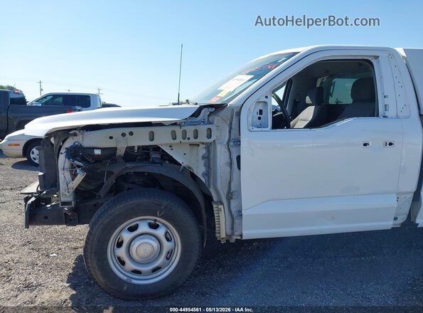 1FTMF1KP1RKD64333 2024 FORD F150 White Widok wnętrza z tyłu