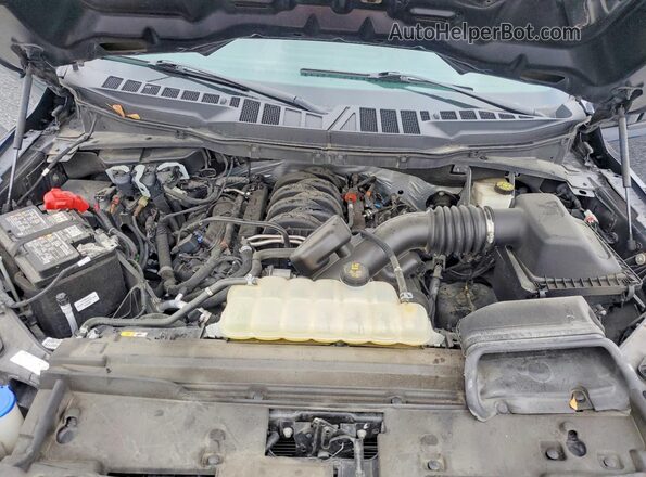 1FTMF1L59RKD74587 2024 FORD F150 Blue Vista interior trasera