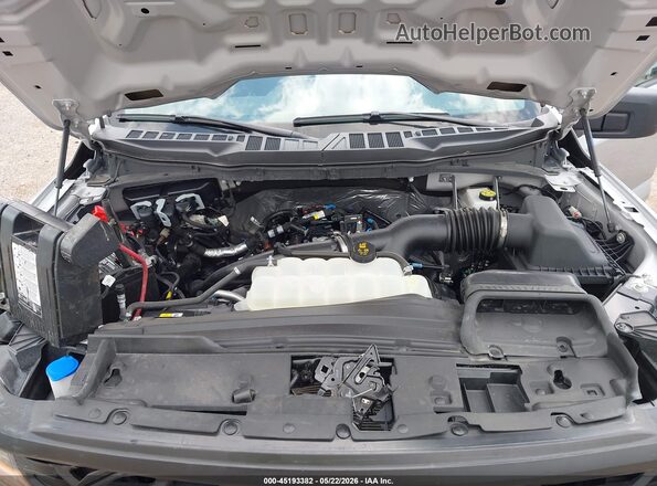 1FTMF1LPXSKD27284 2025 FORD F150 Gray Widok z tyłu