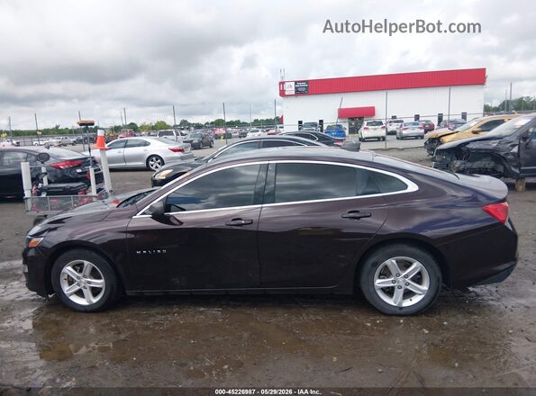 1G1ZB5ST4LF013995 2020 CHEVROLET MALIBU Purple 360 interior view