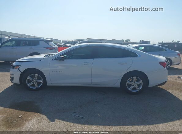 1G1ZB5ST4LF042400 2020 CHEVROLET MALIBU Белый Вид задней части салона