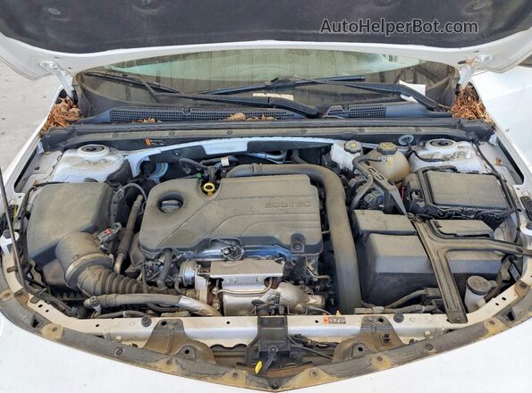 1G1ZB5ST4PF118980 2023 CHEVROLET MALIBU White Widok wnętrza z tyłu
