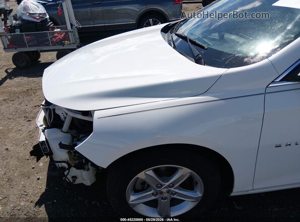 1G1ZB5ST5KF223715 2019 CHEVROLET MALIBU White 