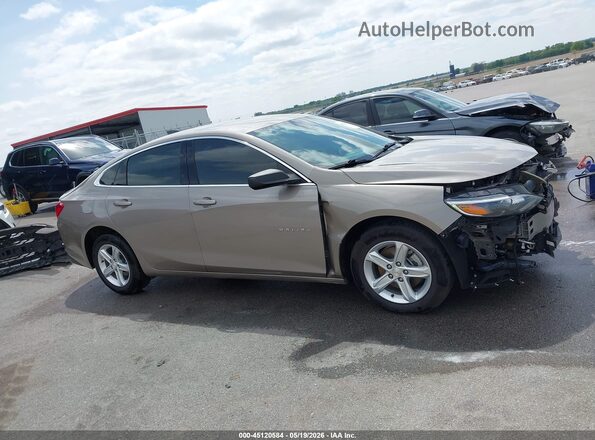 1G1ZB5ST8PF247434 2023 CHEVROLET MALIBU Gold Սալոնի 360 աստիճան տեսք