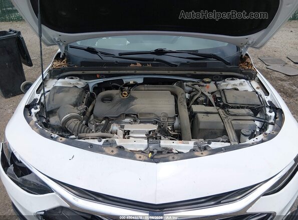 1G1ZC5ST0LF134228 2020 CHEVROLET MALIBU Белый Вид сзади