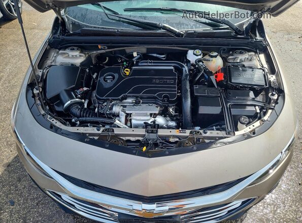 1G1ZC5ST1RF241345 2024 CHEVROLET MALIBU Tan 