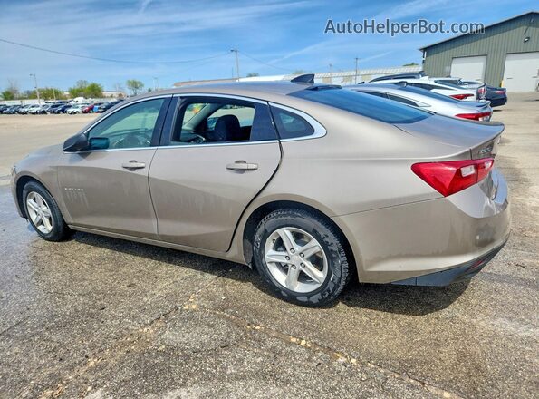 1G1ZC5ST1RF241345 2024 CHEVROLET MALIBU Tan 