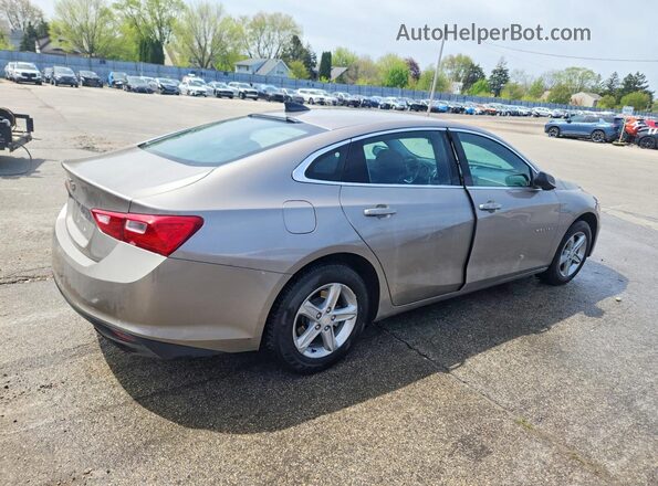 1G1ZC5ST1RF241345 2024 CHEVROLET MALIBU Tan 