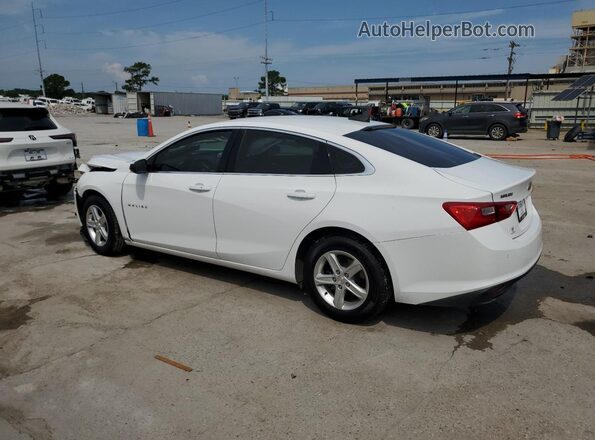 1G1ZC5ST2LF146705 2020 CHEVROLET MALIBU Белый Задняя левая четверть