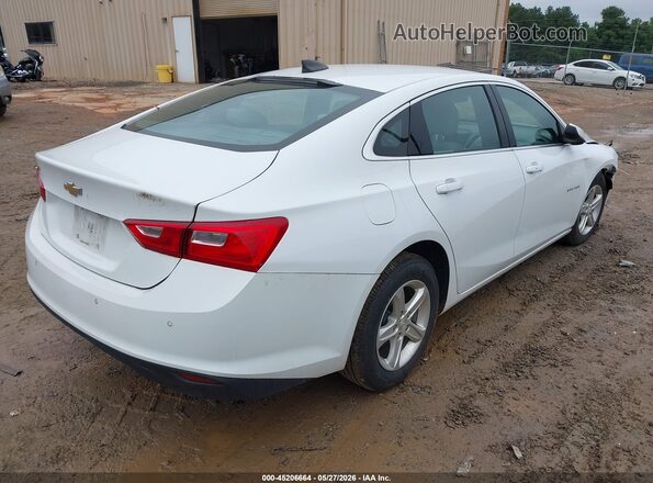 1G1ZC5ST5MF088204 2021 CHEVROLET MALIBU White უკანა მარჯვენა