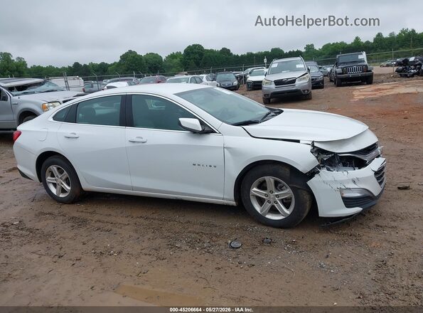 1G1ZC5ST5MF088204 2021 CHEVROLET MALIBU White უკანა სალონის ხედი