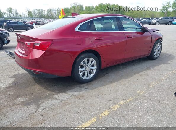 1G1ZD5ST0RF118696 2024 CHEVROLET MALIBU Red Հետևի աջ
