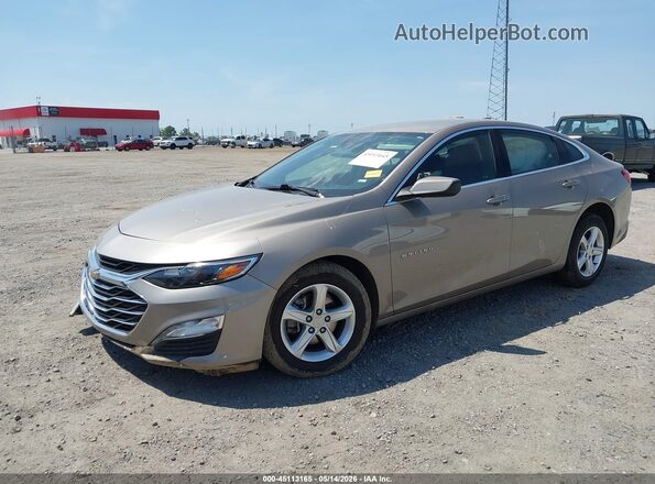 1G1ZD5ST3RF151756 2024 CHEVROLET MALIBU Beige 