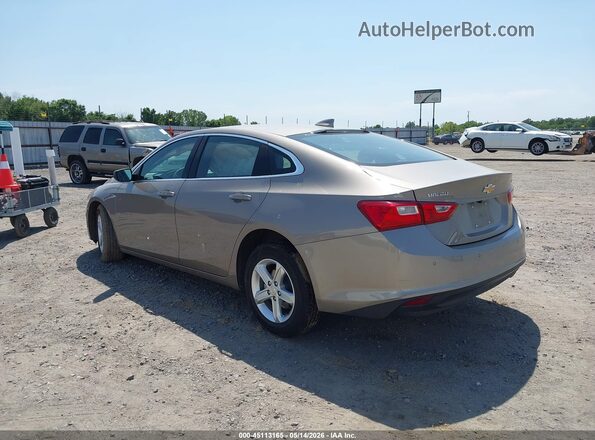 1G1ZD5ST3RF151756 2024 CHEVROLET MALIBU Beige 