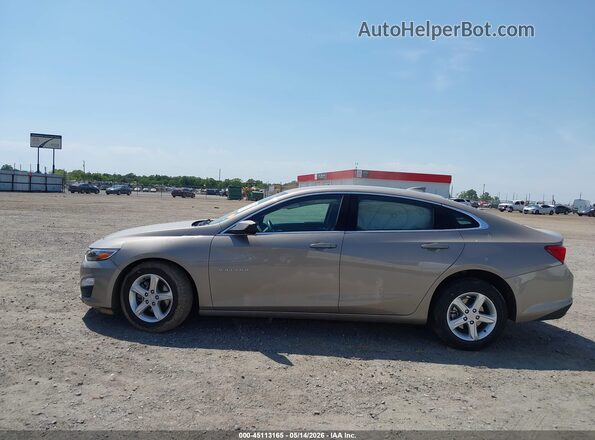 1G1ZD5ST3RF151756 2024 CHEVROLET MALIBU Beige 