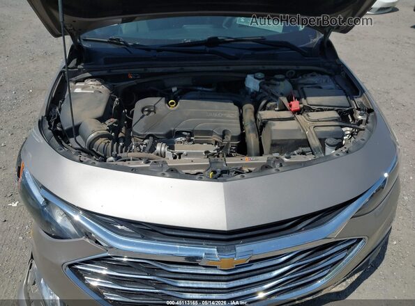 1G1ZD5ST3RF151756 2024 CHEVROLET MALIBU Beige 