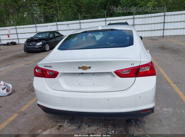 1G1ZD5ST4RF117776 2024 CHEVROLET MALIBU Белый 