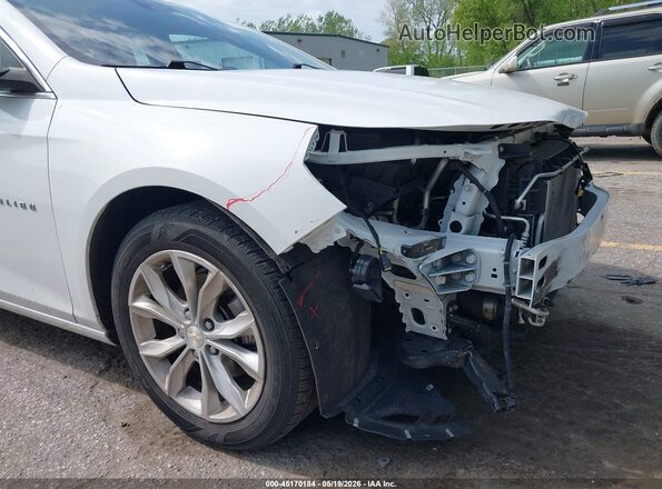1G1ZD5ST4RF117776 2024 CHEVROLET MALIBU Белый 