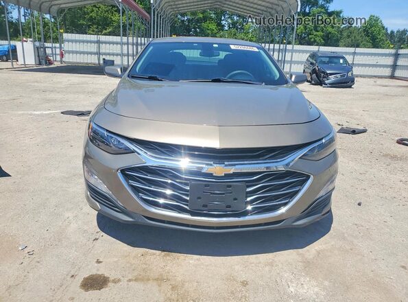 1G1ZD5ST5LF061466 2020 CHEVROLET MALIBU Brown 